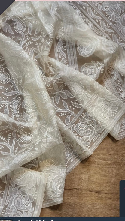 Danish chikankari organza saree
