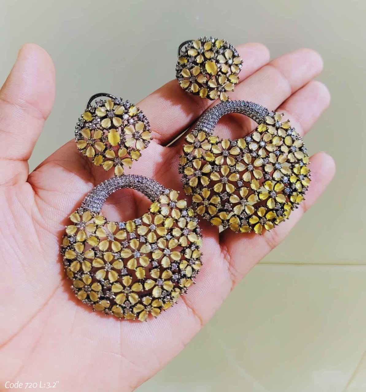Kiara beautiful Earring