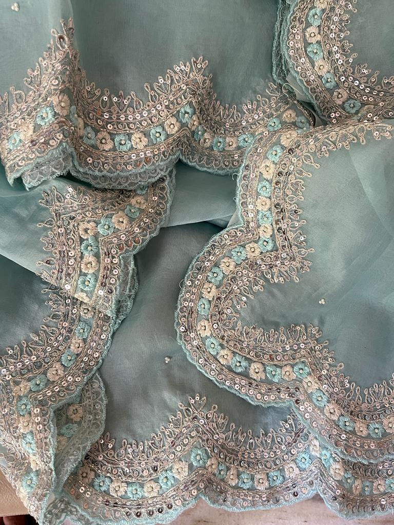 Liba organza partywear saree