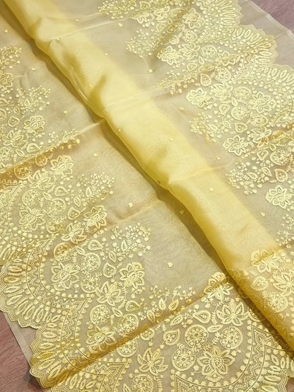 Scalloped inspired organza saree