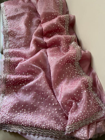 Susan organza katdana saree