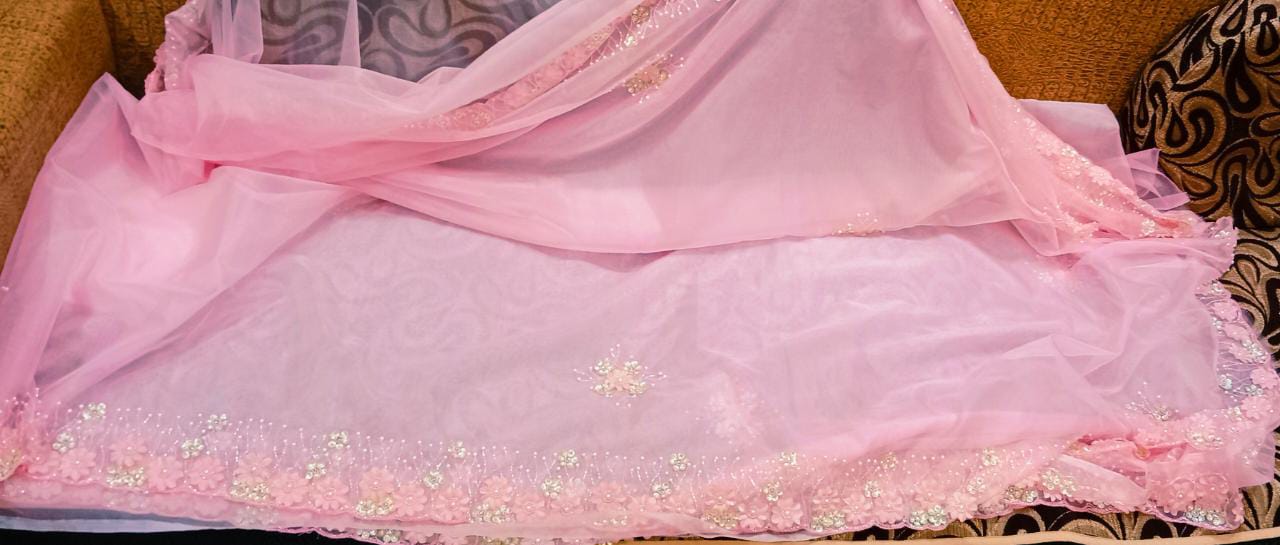 Fairly organza beautiful saree women sari