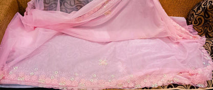 Fairly organza beautiful saree women sari
