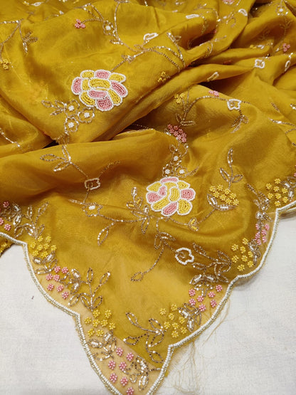 Fairly organza zardosi reception saree