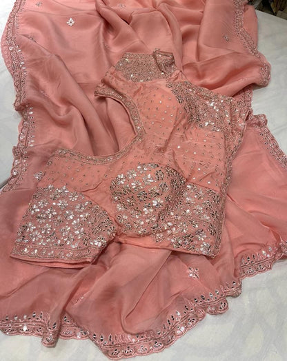 Gulnaari organza zardosi saree