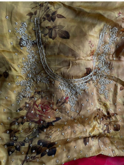 Rimi beautiful sari