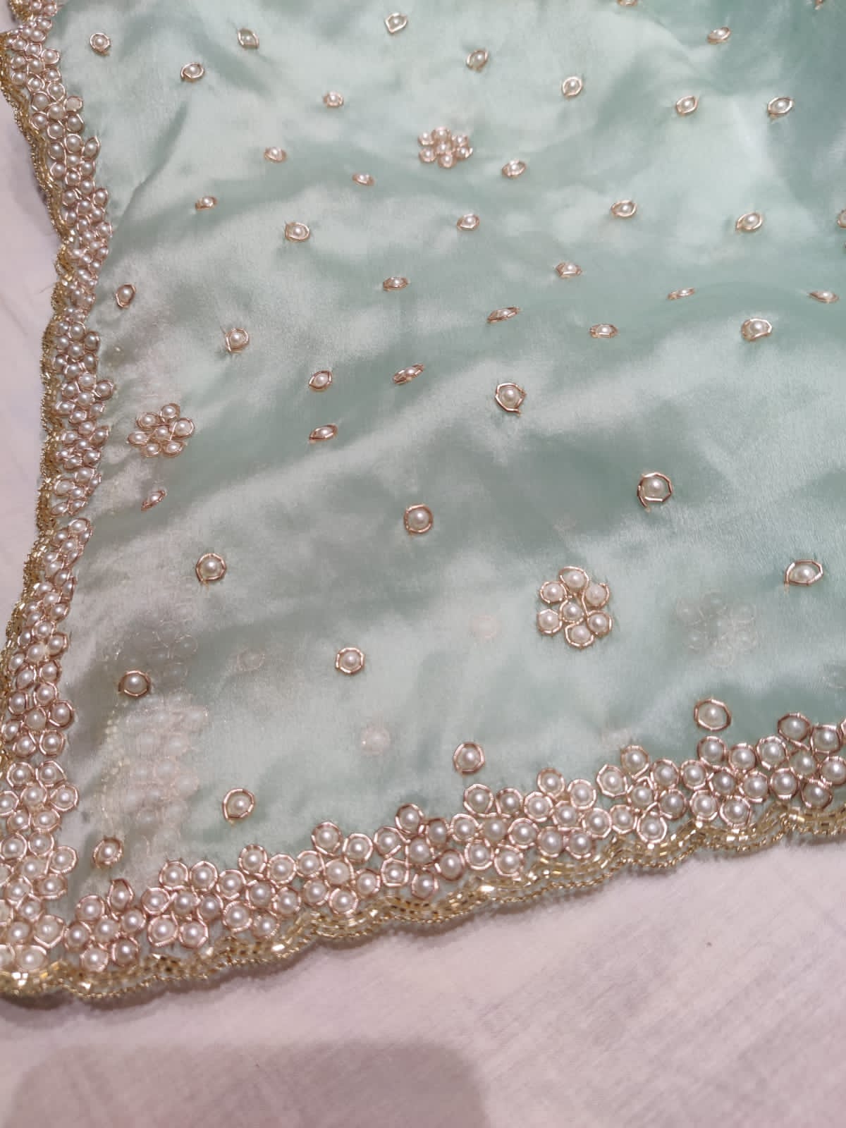 Pearl organza saree partywear saree woke sari blouse