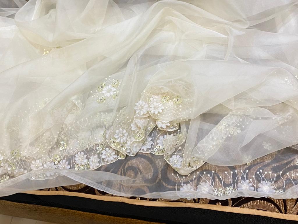 Fairly organza beautiful saree women sari