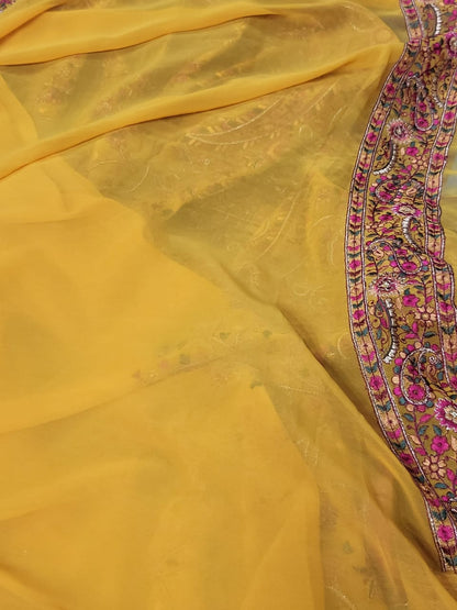 Navina Kashmiri inspired saree