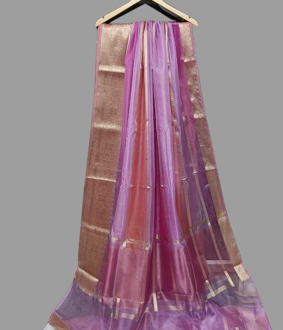 Tinisha Lehariya banarsi saree