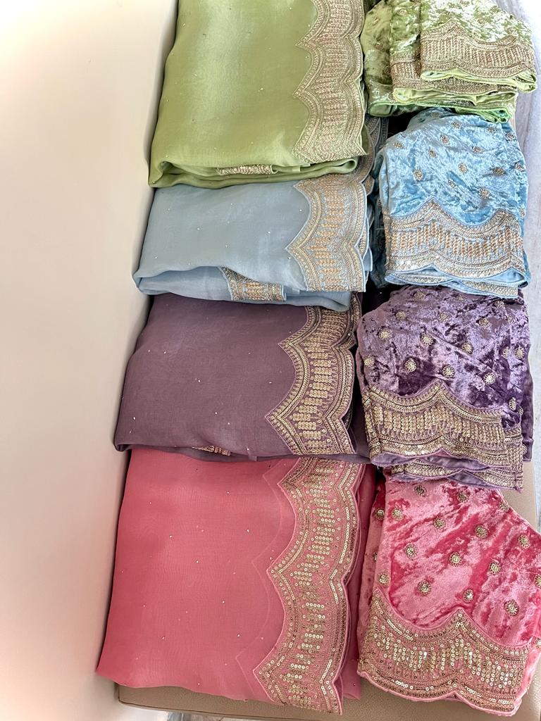 Lisa organza saree