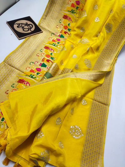 Traditional Indian moonga saree