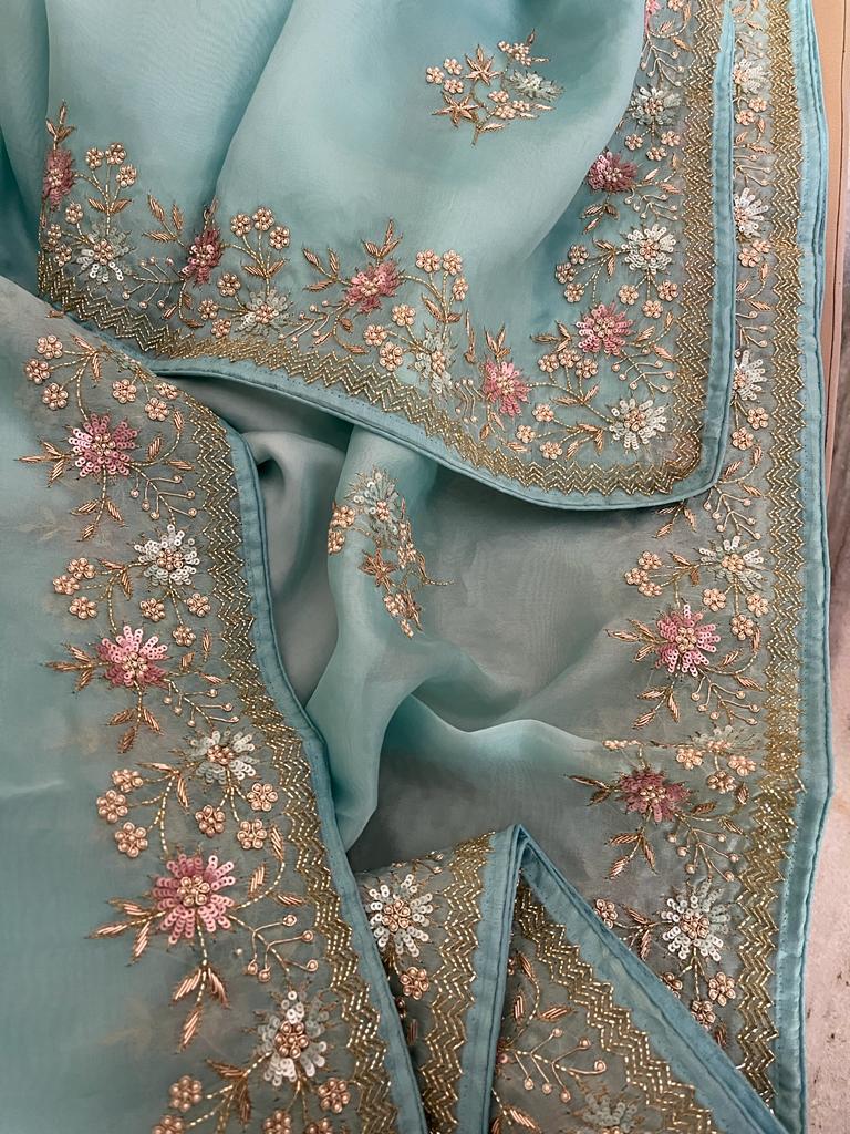 Ramisha organza wedding saree