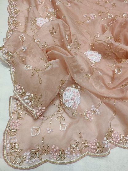 Fairly organza zardosi reception saree