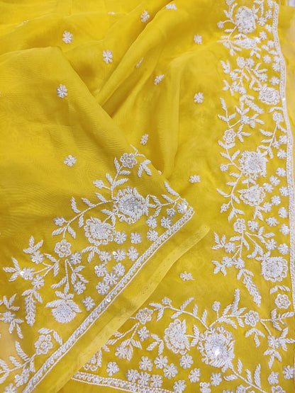 Madhavi zardosi organza saree