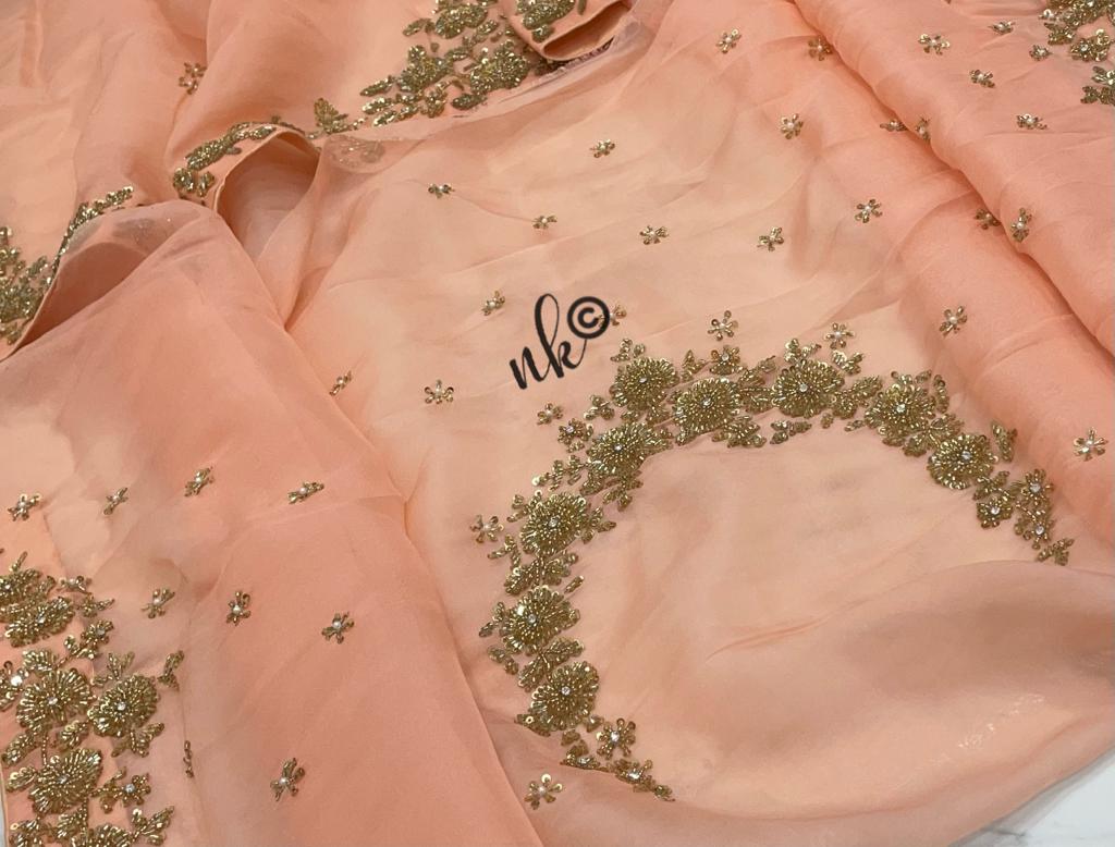 Zarkan inspired organza saree