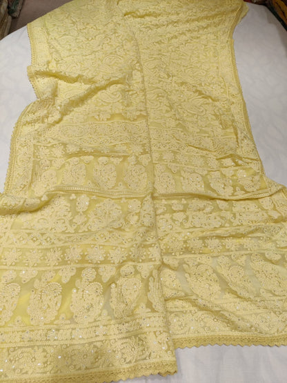 Vani Chikankari gorgette saree