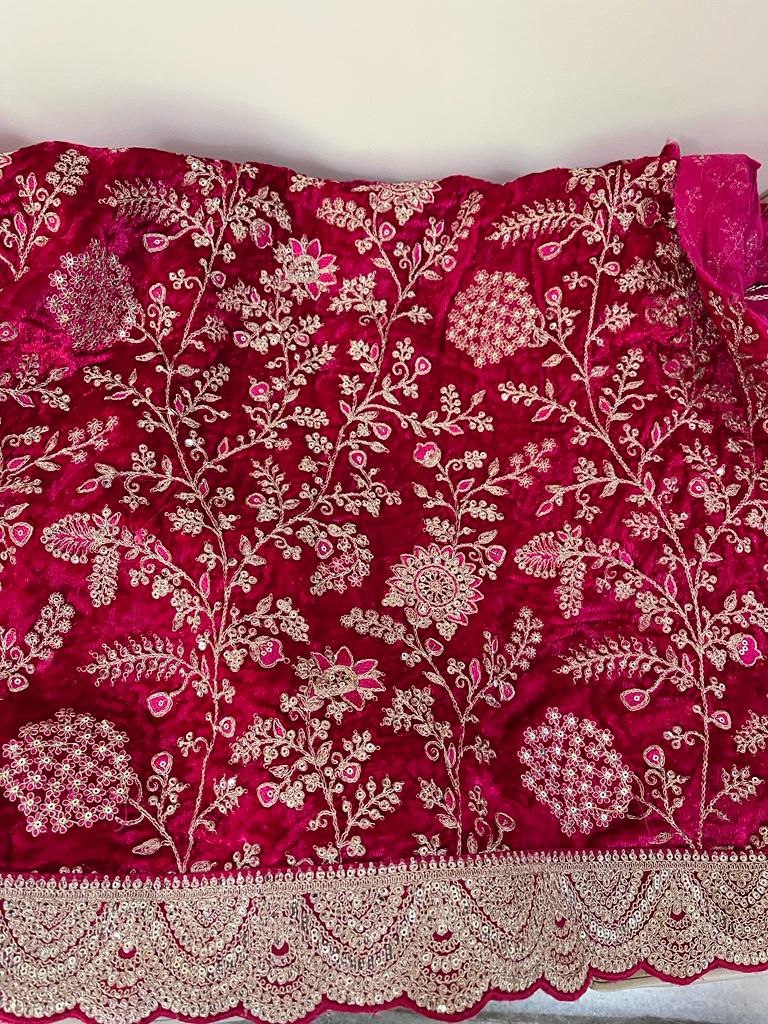Vanisha organza striped saree